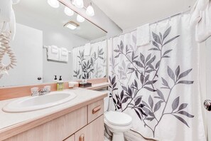 Ducha, secador de pelo, toallas, shampoo