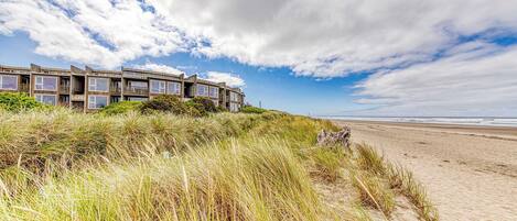 A beachfront hotel with multiple balconies, situated on a sandy beach with tall grass in the foreground.