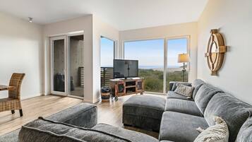 TV, video games, DVD player