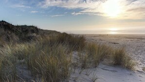 Una spiaggia con dune sabbiose e vegetazione rada.