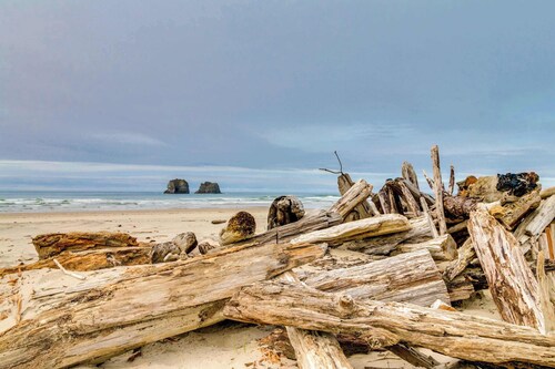 Vintage Style Home with Easy Beach Access Dog friendly