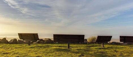 Three wooden benches on a grassy field with a view of the ocean.