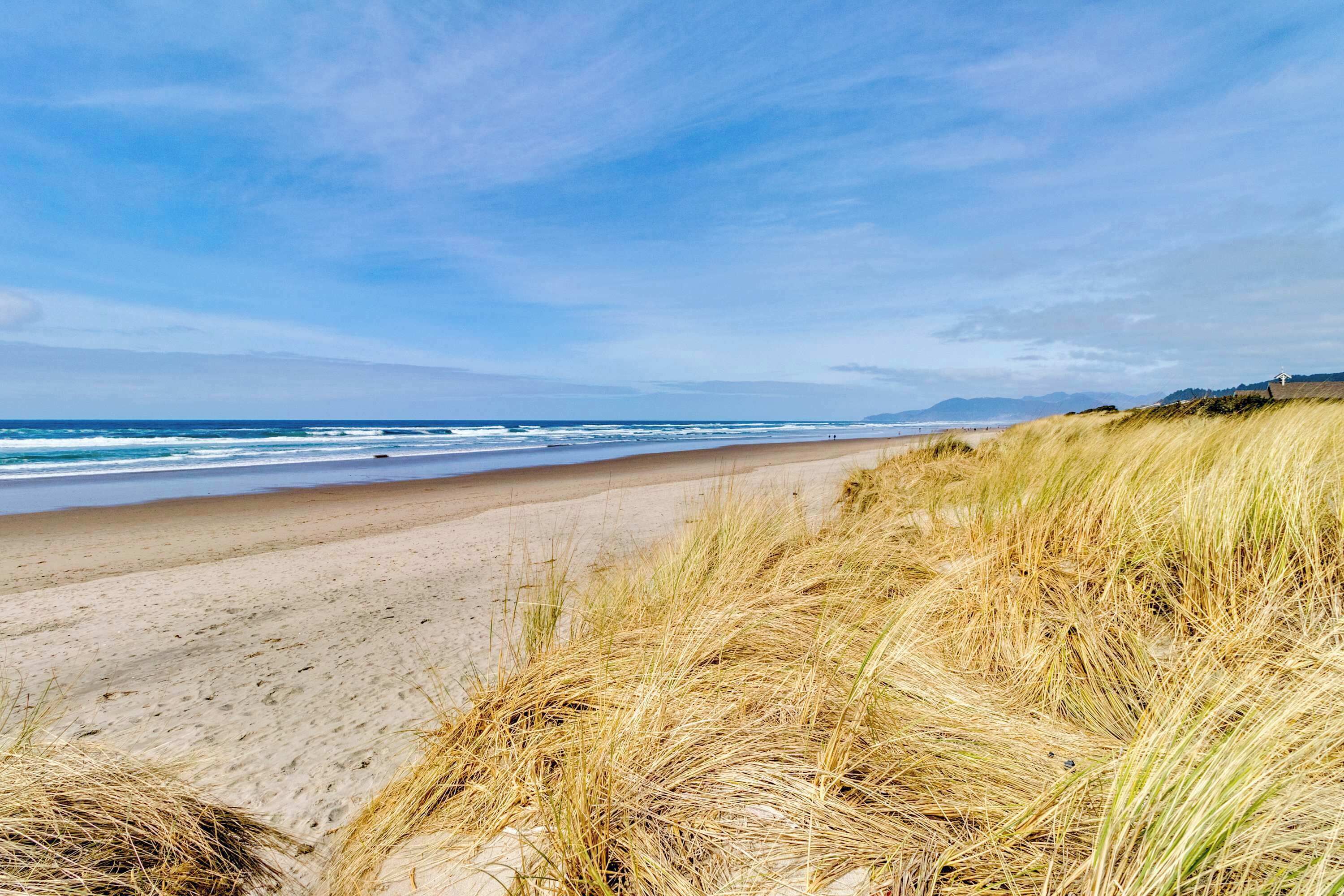 Ein Strand mit Sand und Gras im Vordergrund, einem klaren Himmel und dem Meer im Hintergrund.