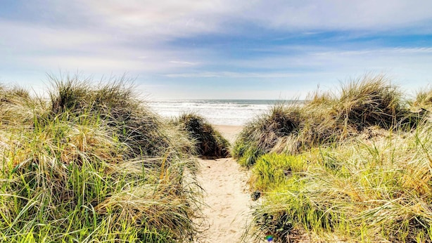 Ein Sandweg am Strand, gesäumt von Grasdünen, der zum Meer führt.