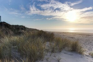 En strand med klitter og en klar himmel.