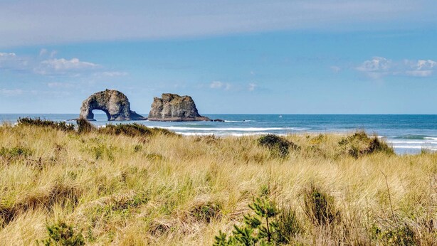 A coastal landscape with two prominent rock formations in the distance, surrounded by grassy dunes. - Family Friendly Oceanfront Condo with Free WiiFi Ocean Views and Easy Beach Access (Rockaway Beach)