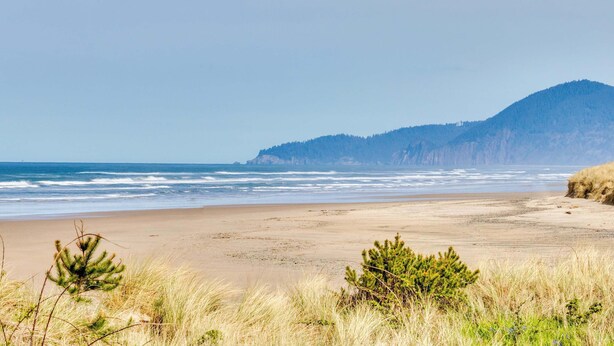 Ein Strand mit sandigem Ufer, grasbewachsenen Dünen und einem bewaldeten Hügel im Hintergrund.