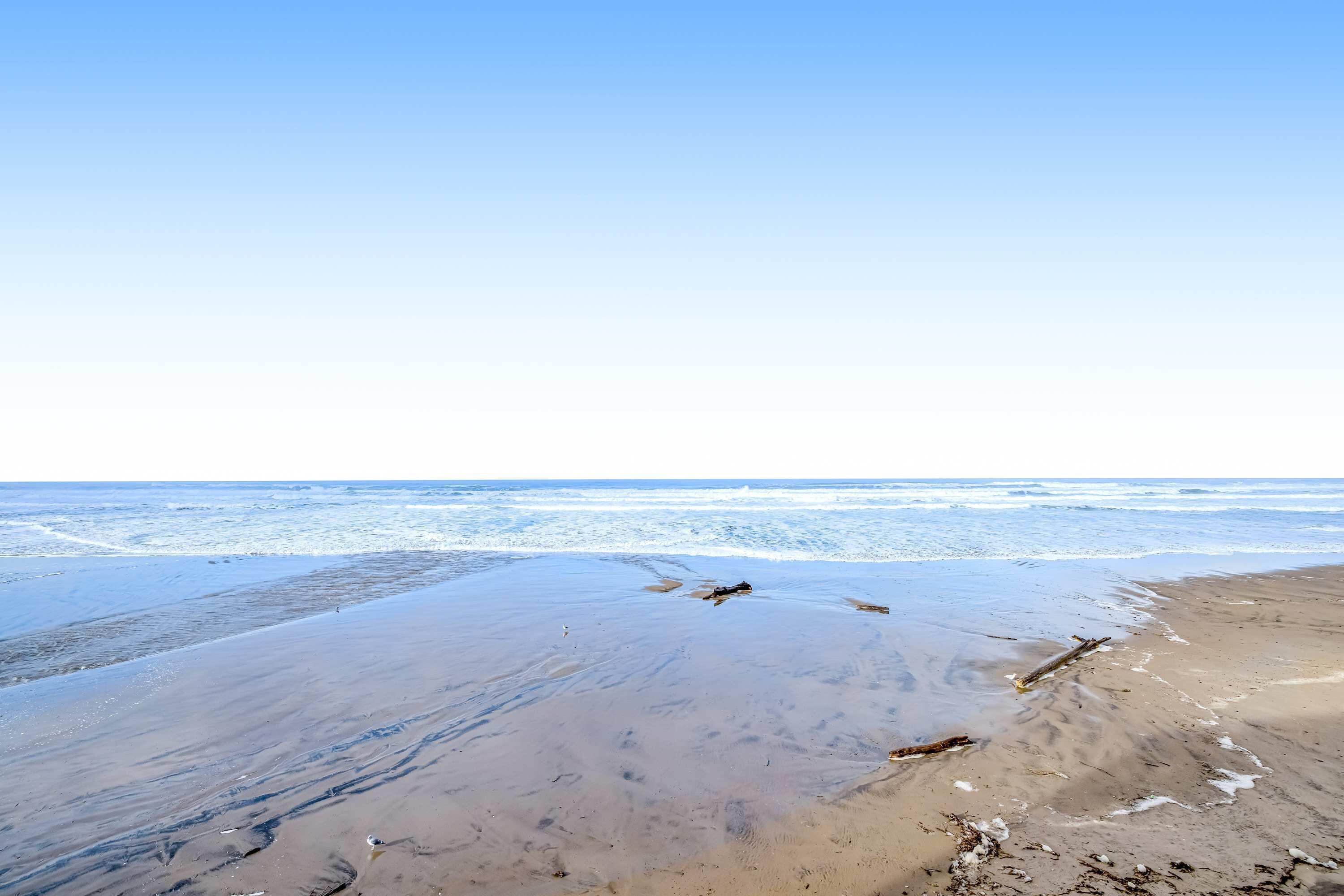 A beach with a clear sky, calm sea, and a sandy shore with some driftwood.
