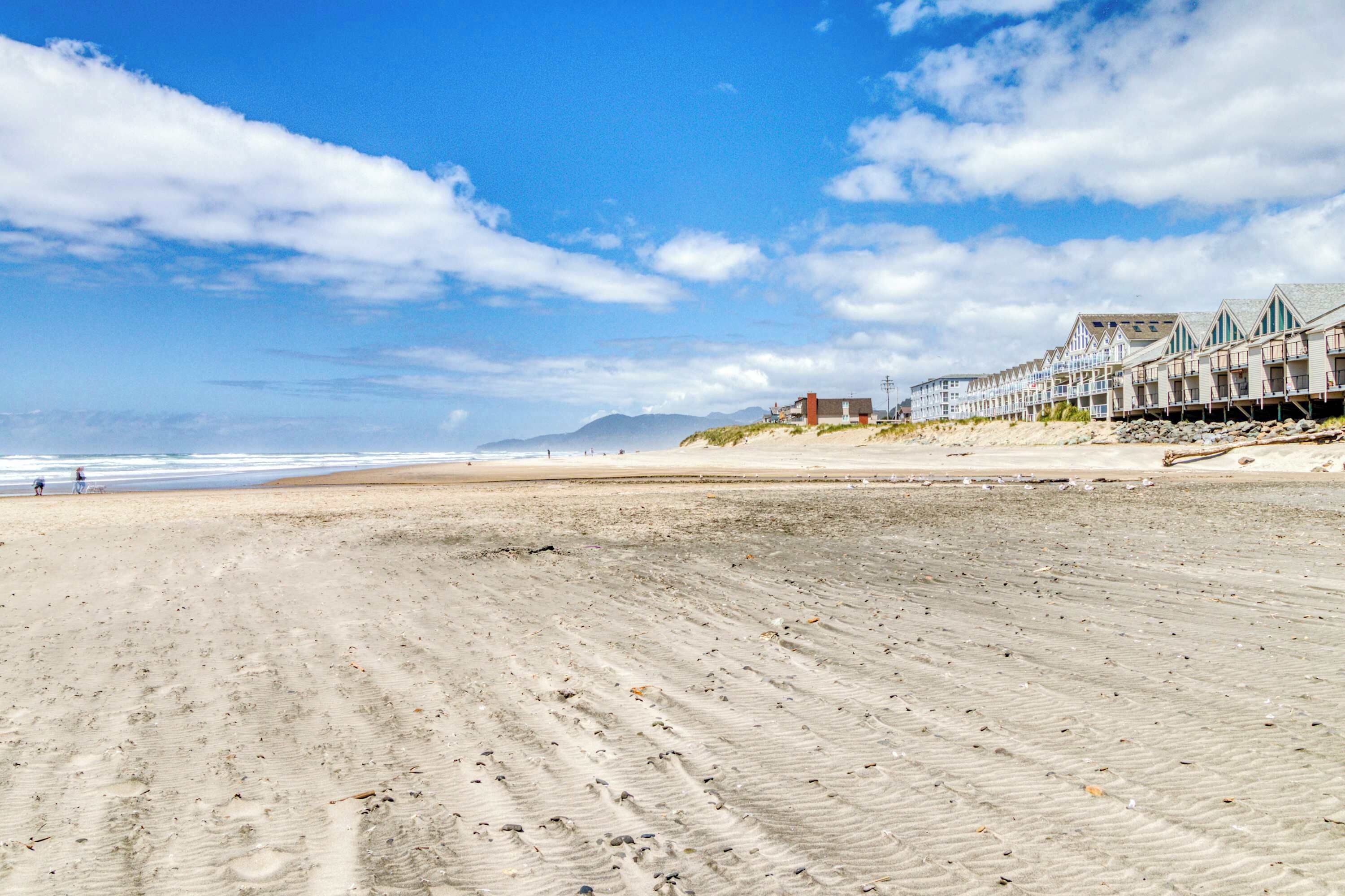 A beach with a row of houses along the shore.