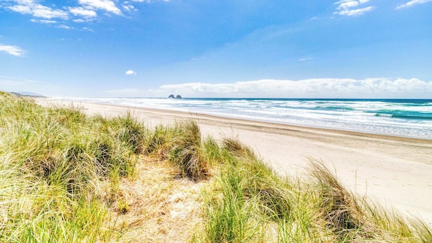 A beach with sand dunes and ocean waves. - Ocean view home with prime walkable location near beach and town 2 dogs OK (Rockaway Beach)