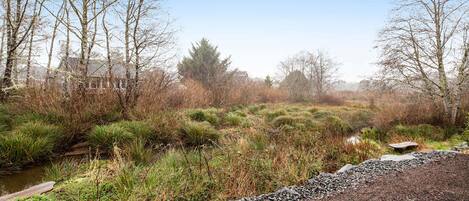 A natural landscape with a pond, trees, and a stone fish sculpture.