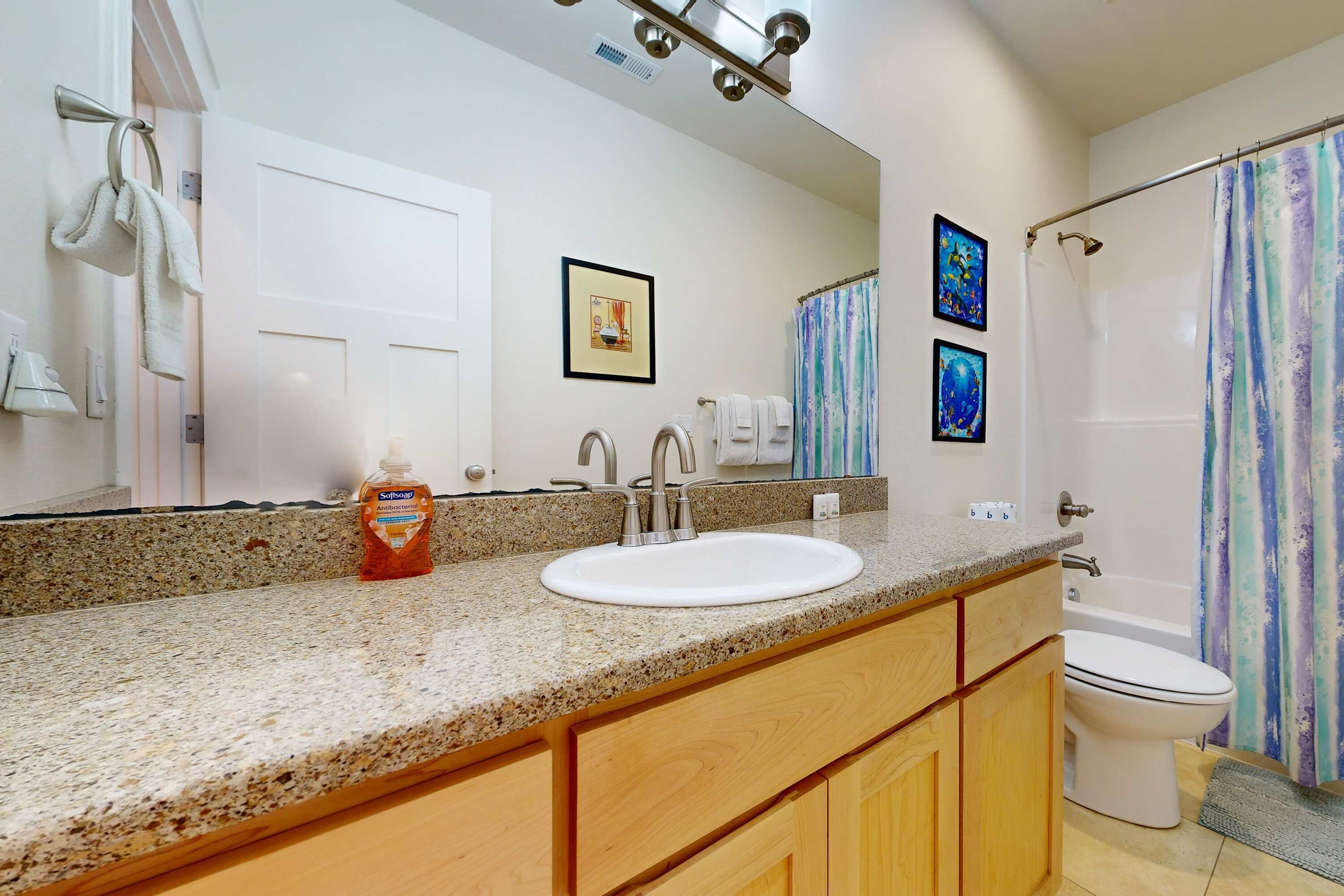 A bathroom with a granite countertop, a white sink, a mirror, a shower curtain, and a toilet.