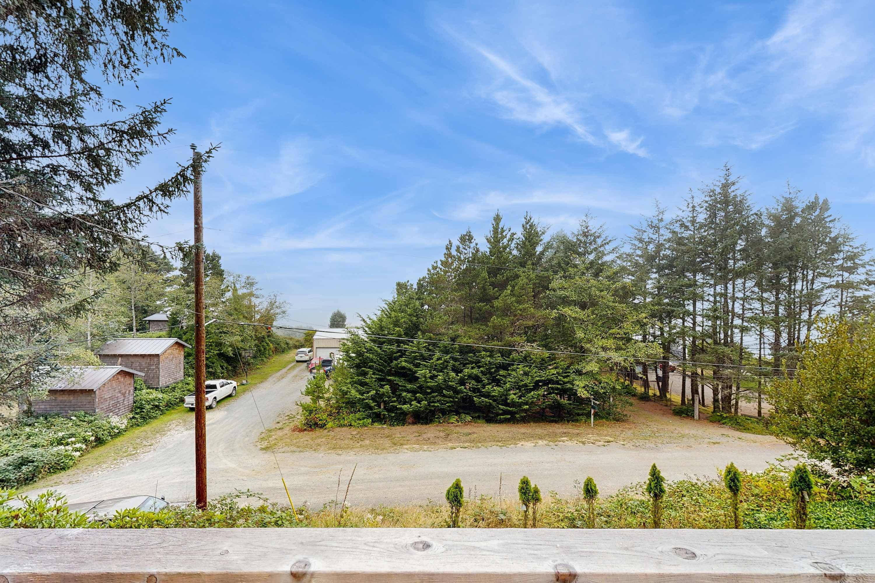 A rural road with a large evergreen tree in the center, surrounded by dense forest.