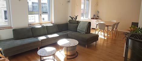 TV, fireplace, video games, DVD player