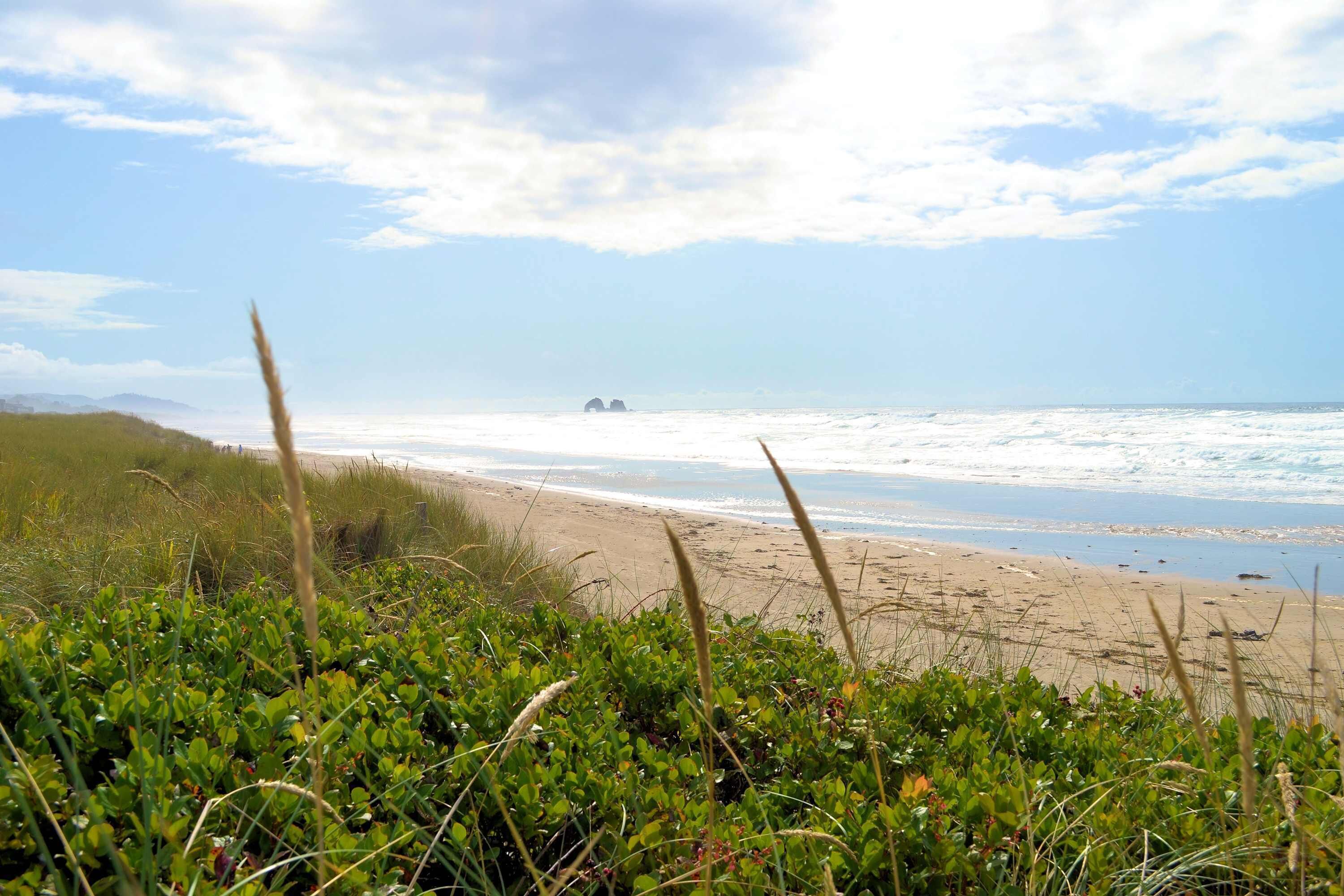 Une plage avec une zone herbeuse en premier plan et une vue sur l’océan.
