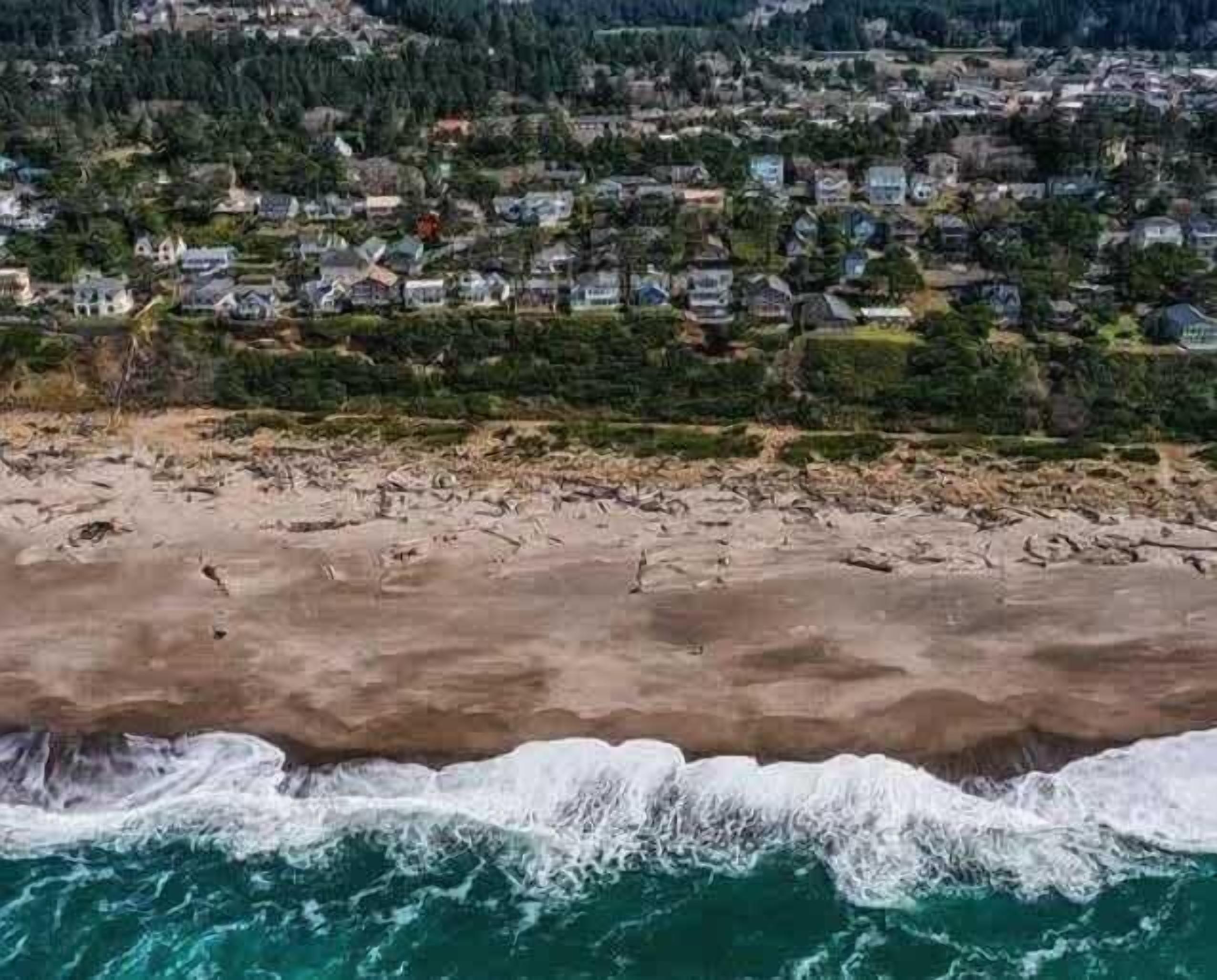 Vista aerea di una zona residenziale sulla costa, con case e una spiaggia.