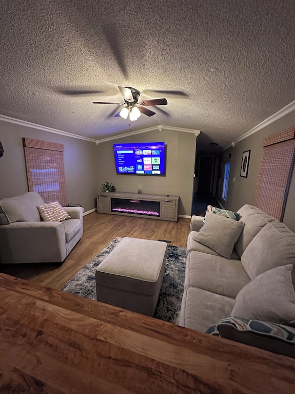 The Bigfoot Bungalow - A Superb 2-bedroom Mobile Home In Central Red River Gorge - Kentucky