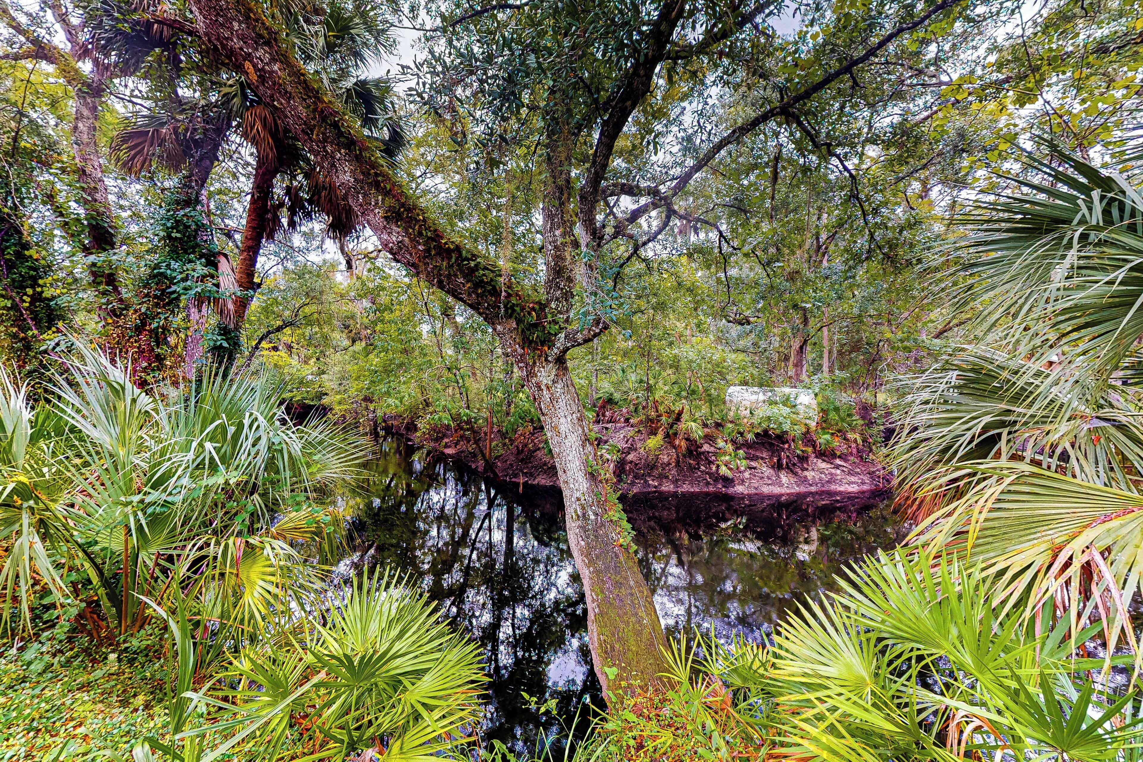 Waccasassa River