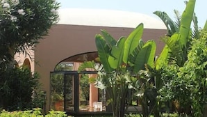 A garden with a glasshouse, lush greenery, and a building with a dome roof. - Hotel Lo Smeraldo - Oasi degli Ulivi (Ventotene)