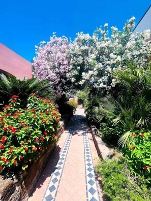 Property grounds - Hotel Lo Smeraldo - Oasi degli Ulivi (Ventotene)