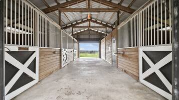 Terrain de l’hébergement