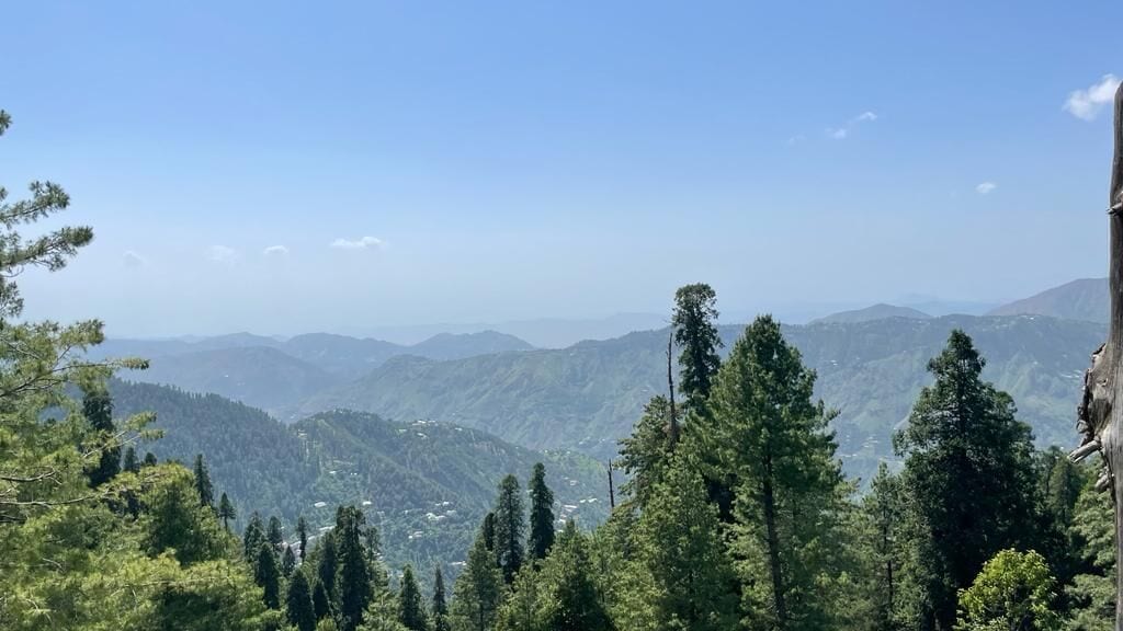 إطلالة الغرفة