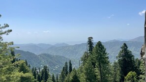 View from room - Peregrine Perch (Changla Gali)