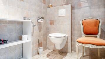 Un baño con inodoro, ducha, tocador con perchero y una silla.
