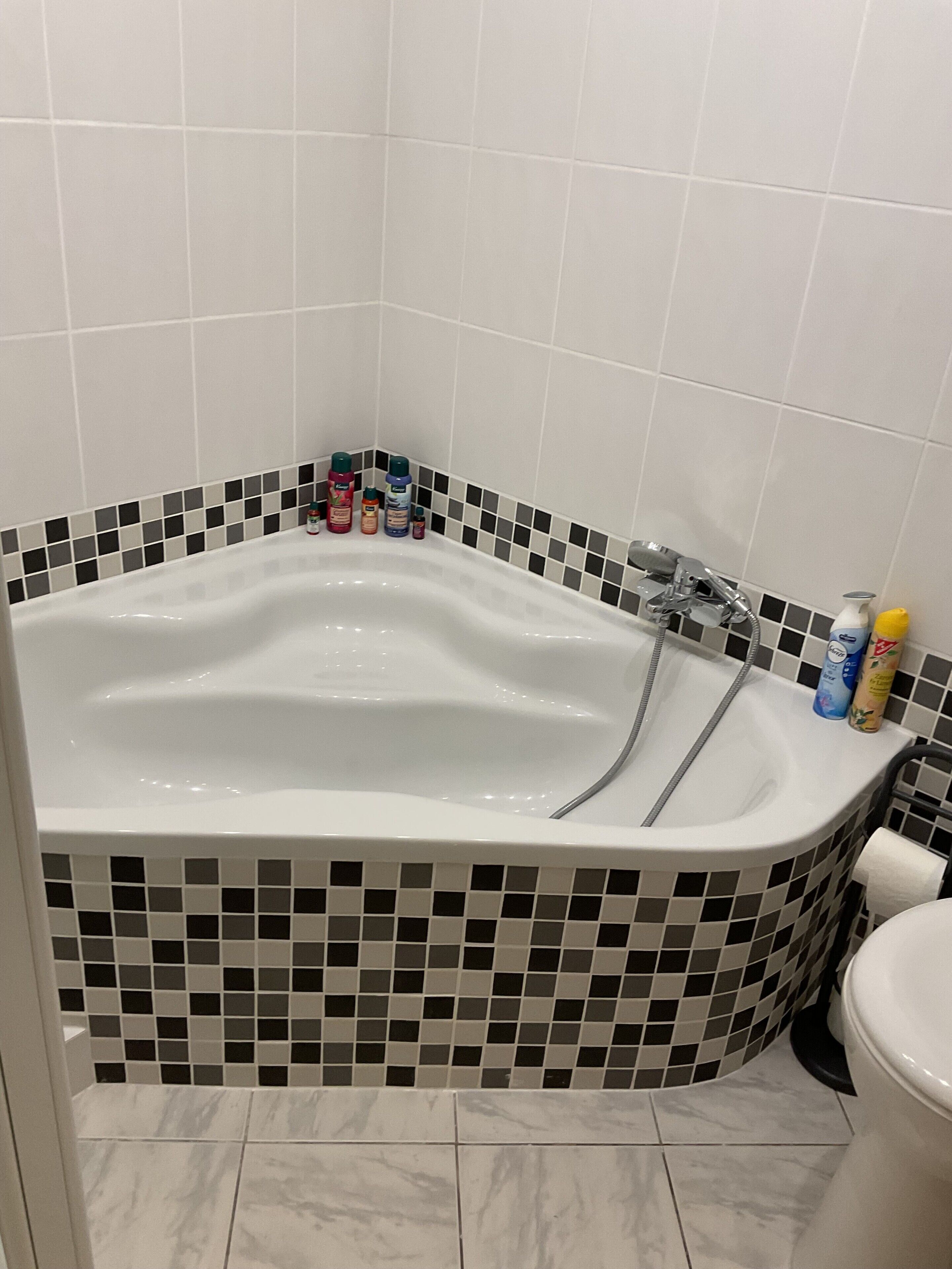 Een badkamer met een vrijstaand bad, toilet en wastafel.