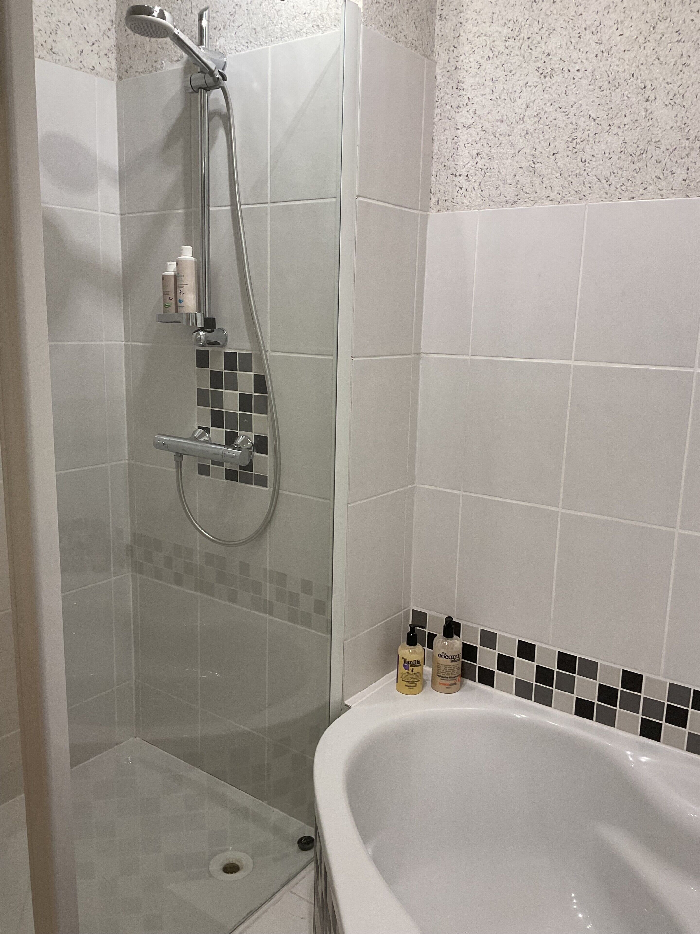 Shower, free toiletries, hair dryer, towels