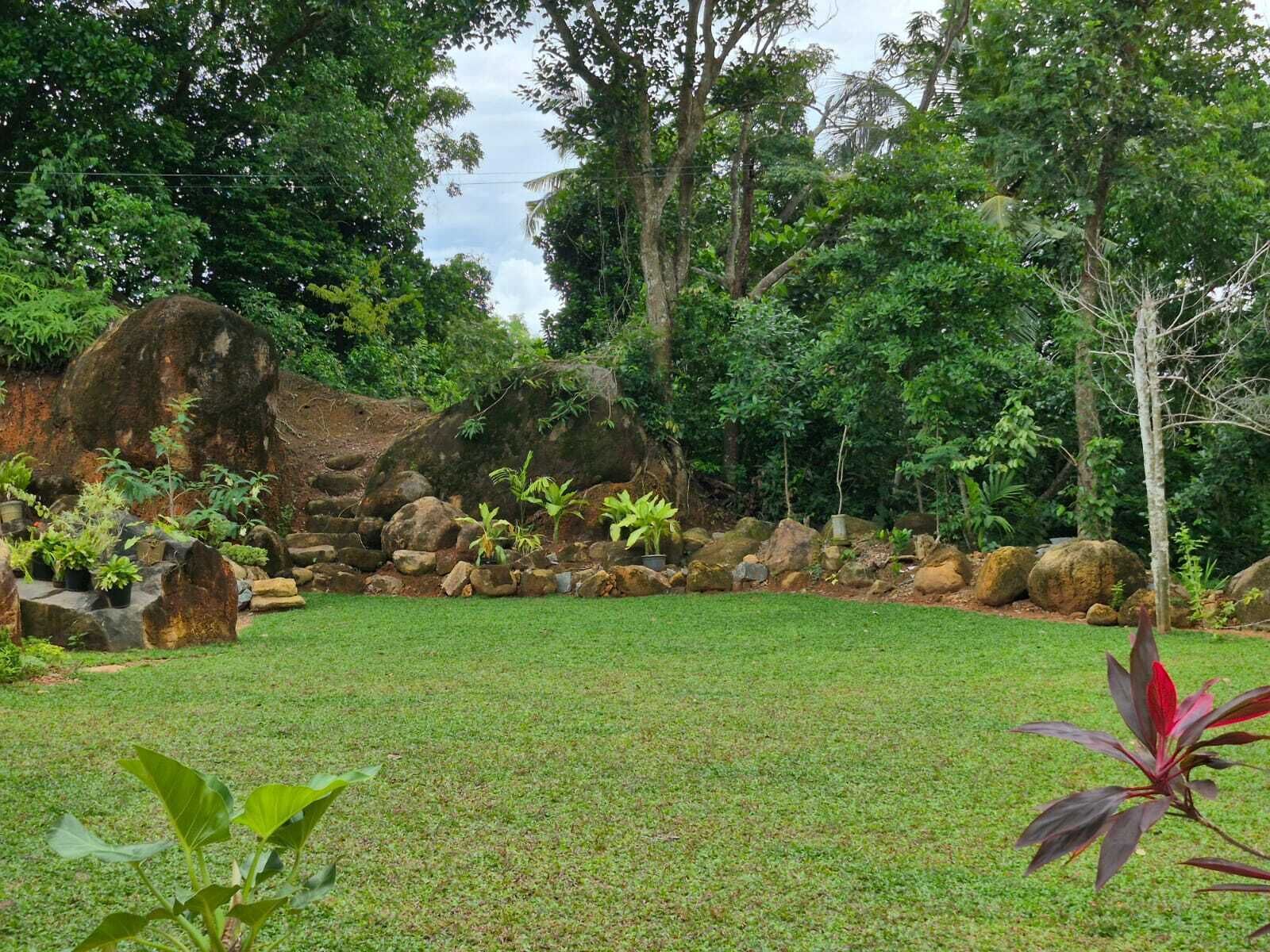 A lush garden with a well-maintained lawn, large rocks, and various plants.