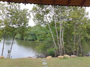 إطلالة على البحيرة