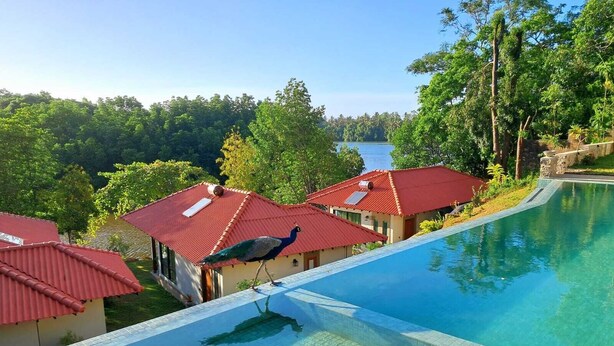 A swimming pool with a clear view of a building with red roofs and a peacock walking by. - River Shades Hotel (Hikkaduwa)