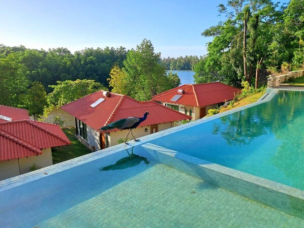 Outdoor pool - River Shades Hotel (Hikkaduwa)