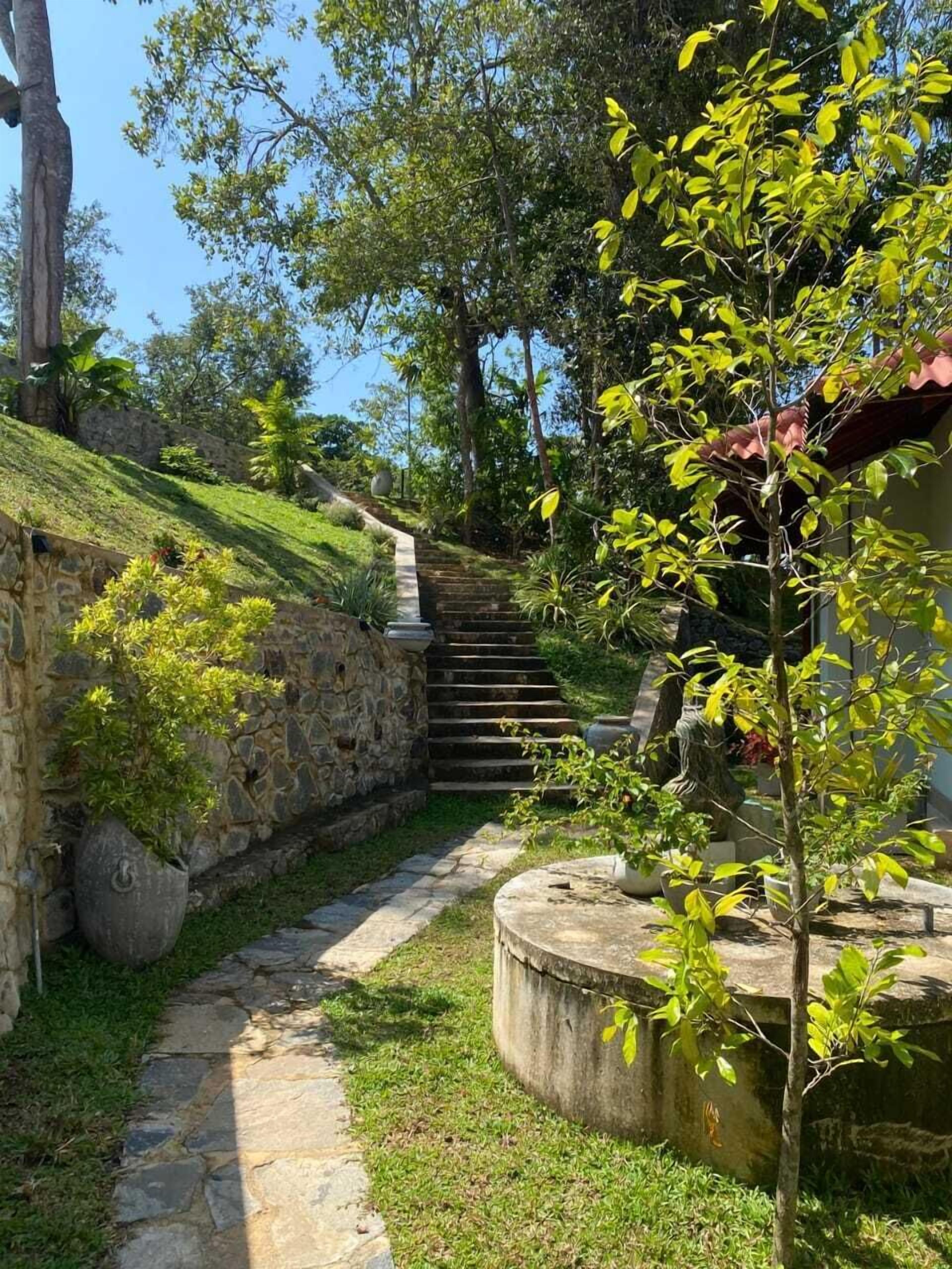 A stone pathway leading up a set of stairs surrounded by greenery and a stone wall.