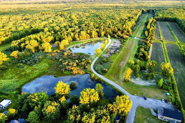 Aerial view