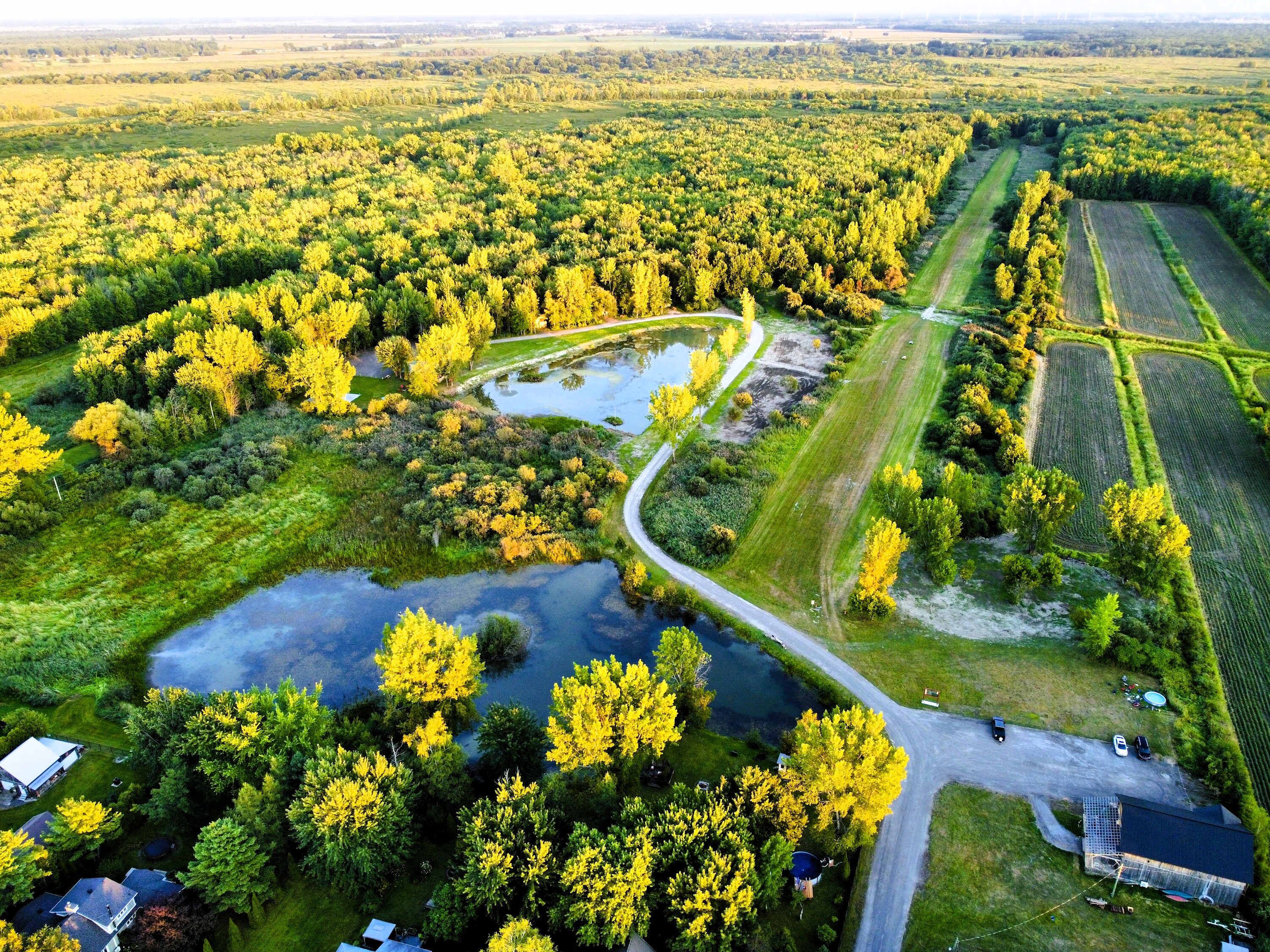 Une vue aérienne d’un paysage rural, avec des champs, une route sinueuse et un petit plan d’eau.