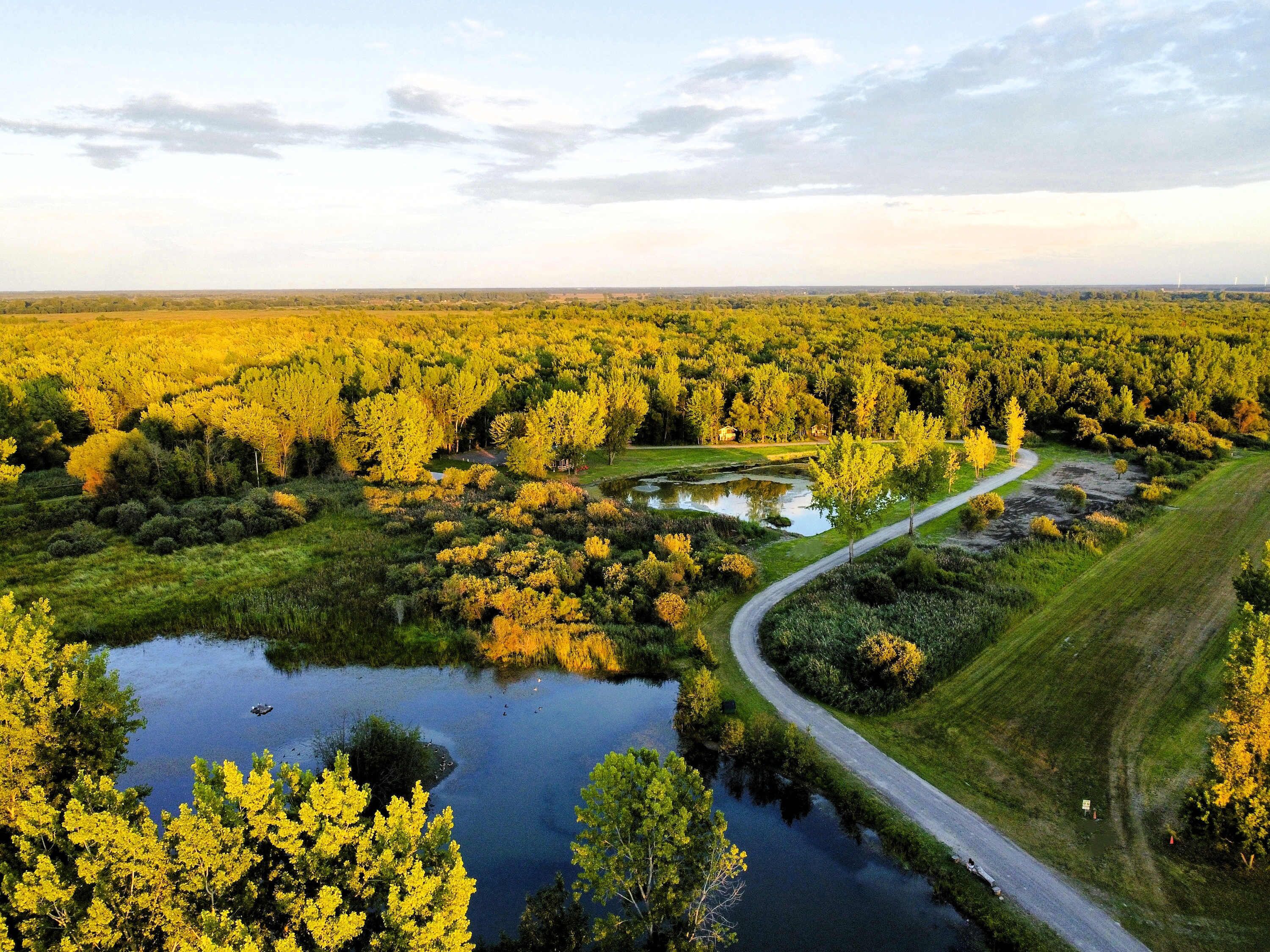 Un paysage rural avec une route sinueuse, un étang et de nombreux arbres.