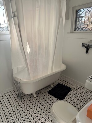 Hair dryer, bidet, towels, soap