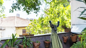 A window ledge with multiple potted plants, a hammock, and a bottle of Corona Extra beer. - Casa a 450m Parque Ipiranga (São Paulo)