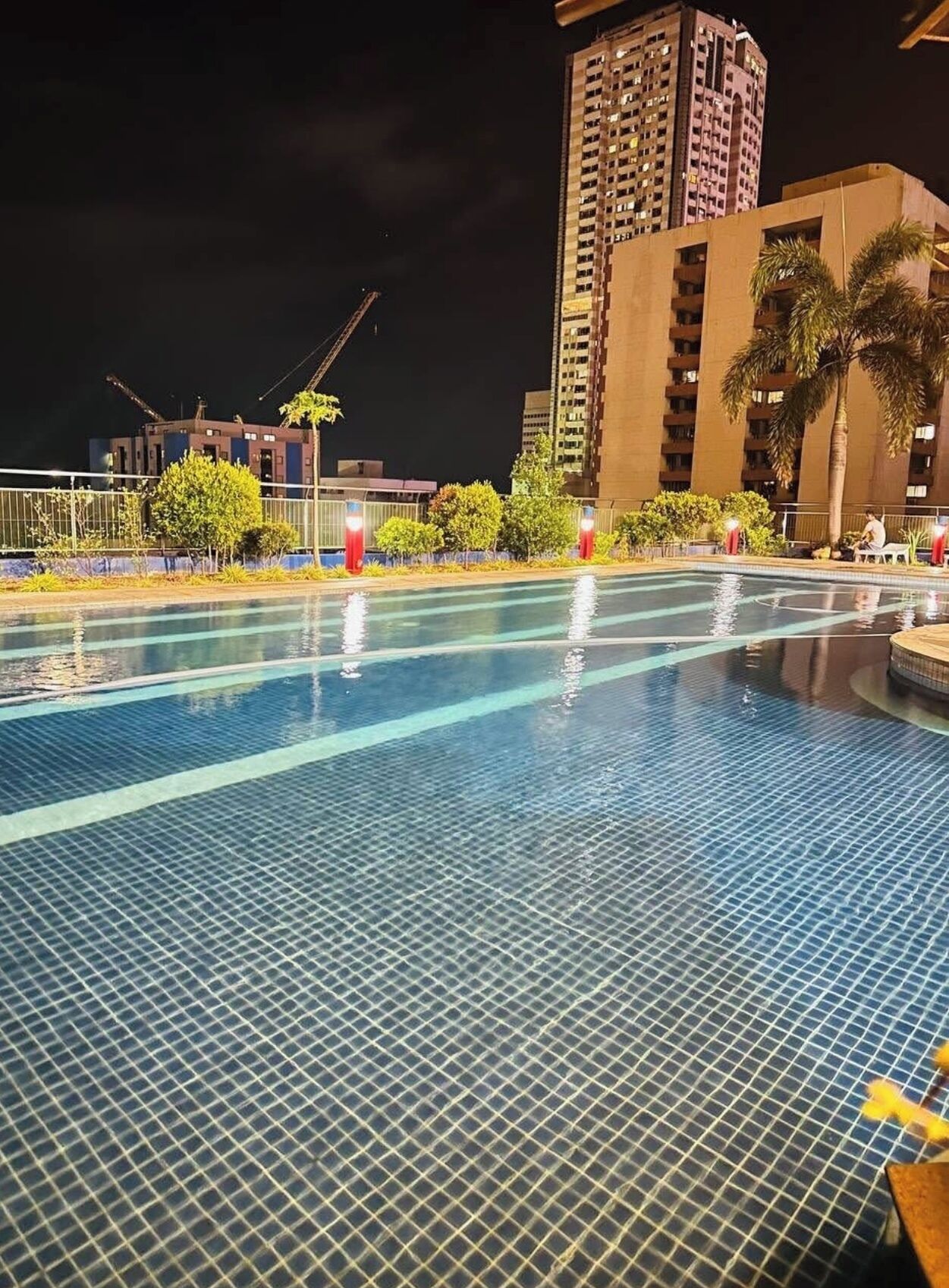 A swimming pool with a tiled floor, surrounded by a fence and palm trees.
