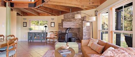 TV connectée, cheminée, livres