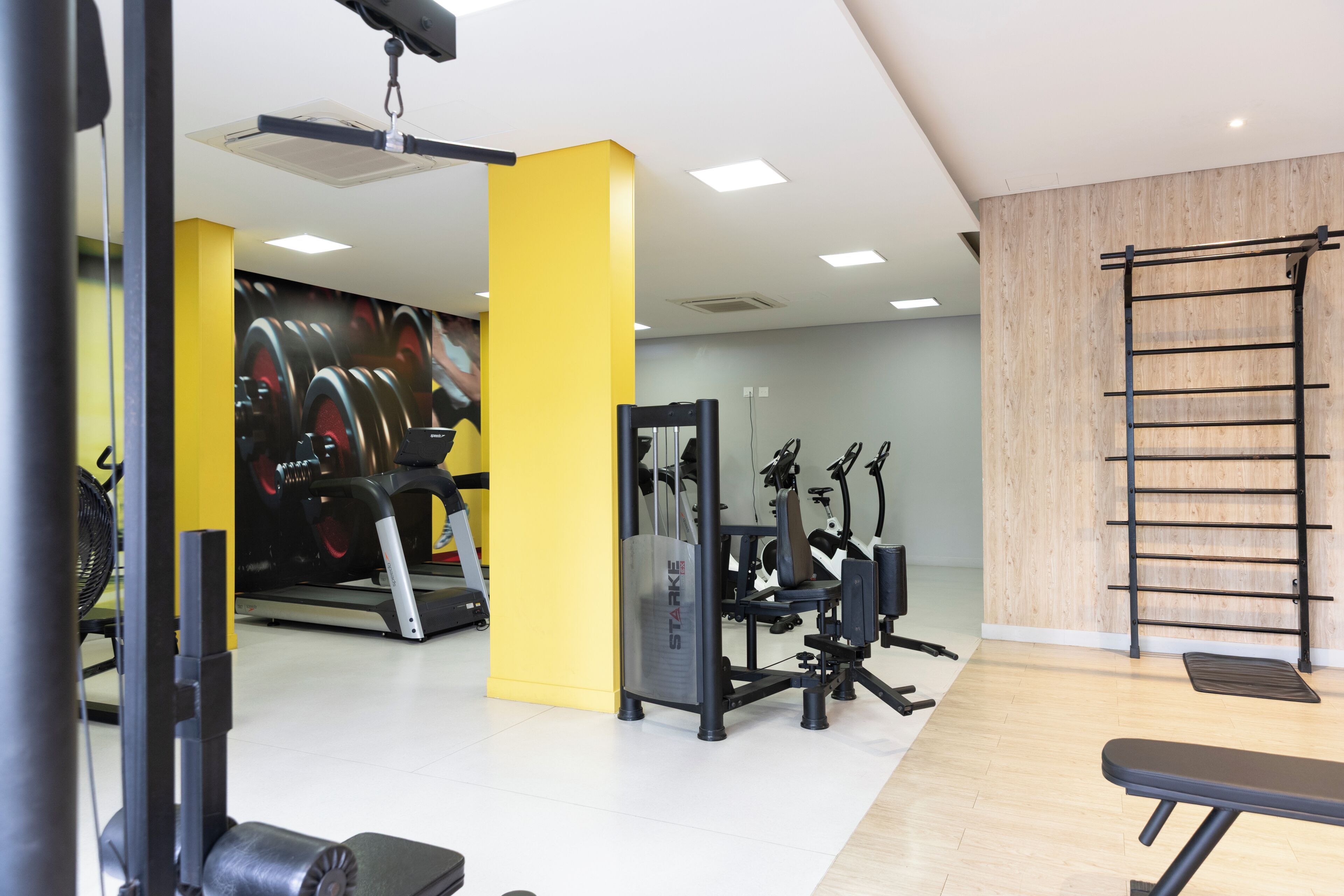 Gimnasio