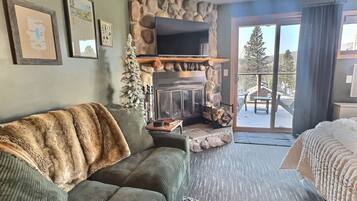 TV, fireplace, table tennis, music library