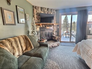 TV, fireplace, table tennis, music library