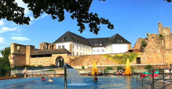 Pool - Burgstrasse Apartment East with garden and sauna (Altleiningen)
