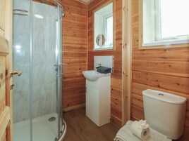 A wooden cabin bathroom with a glass shower enclosure, a sink, a toilet, and a mirror above the sink.
