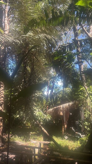 A dense tropical forest with a thatched-roof structure partially obscured by foliage.