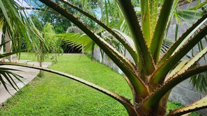 Àrea exterior de l'allotjament