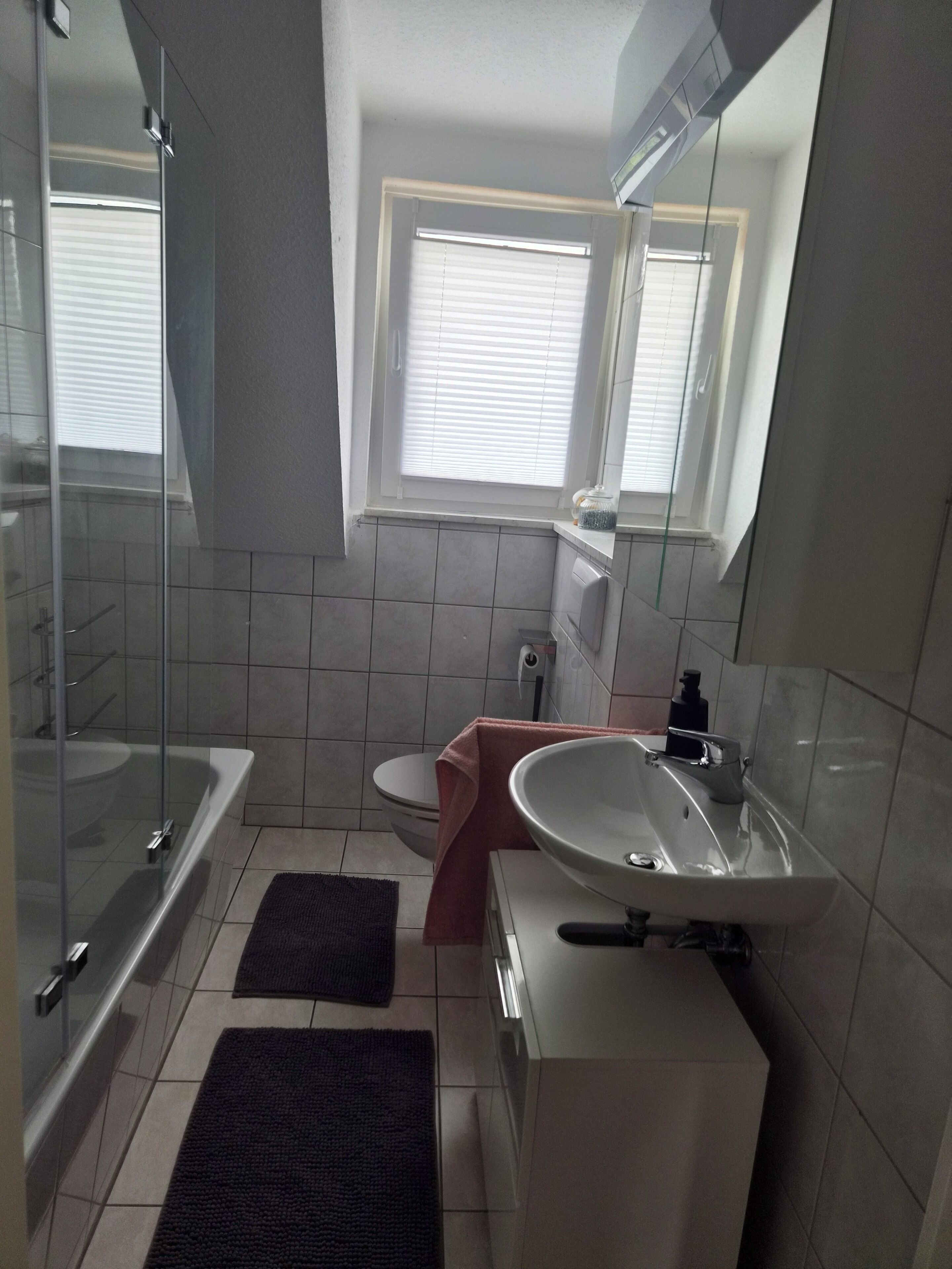 Hair dryer, towels, soap, toilet paper